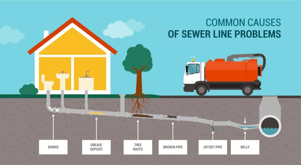 Common causes of sewer line problems infographic